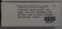 Image Associated With the Occurence